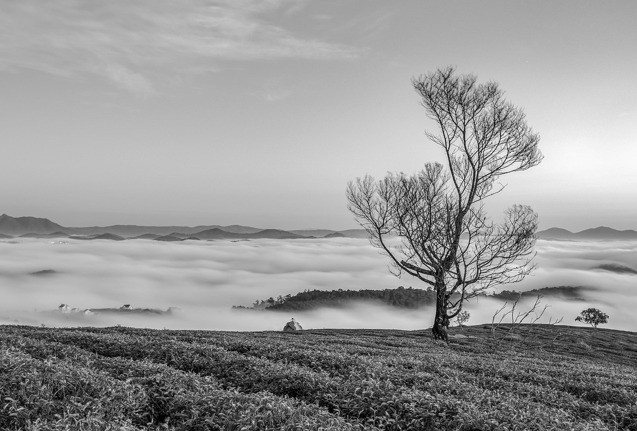 Converted black and white landscape photo of Paris Pantheon