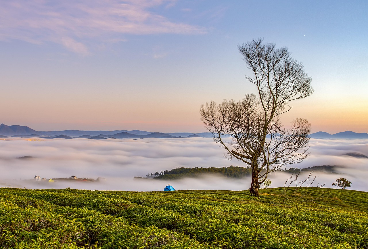 Original color landscape photo of Paris Pantheon